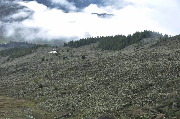 A bela paisagem do Parque Nacional Laguna Negra, perto de Apartaderos, na região de Mérida, nos Andes venezuelanos